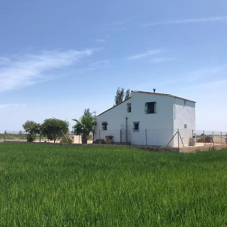 La Caseta De Panisello Deltebre Bagian luar foto