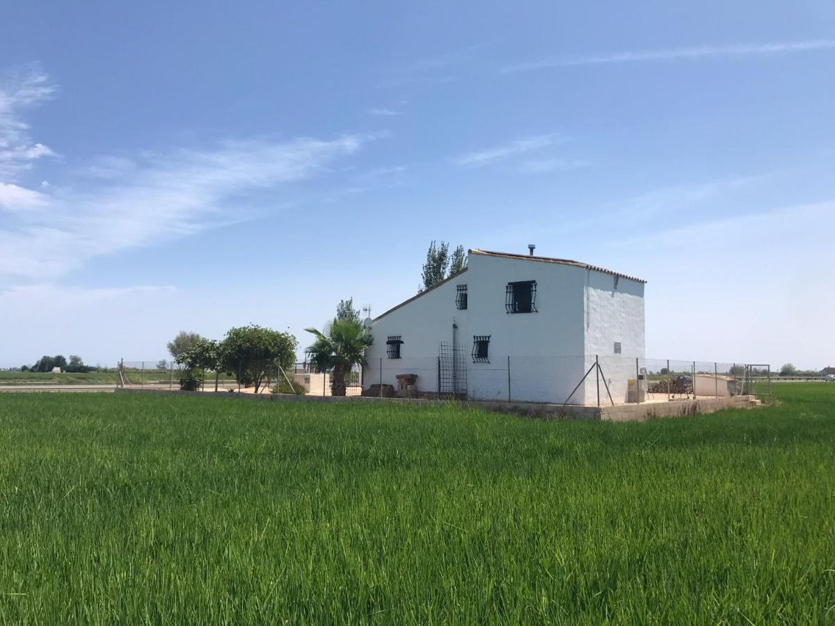 La Caseta De Panisello Deltebre Bagian luar foto